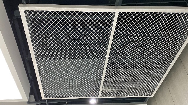 IMG20170609114910